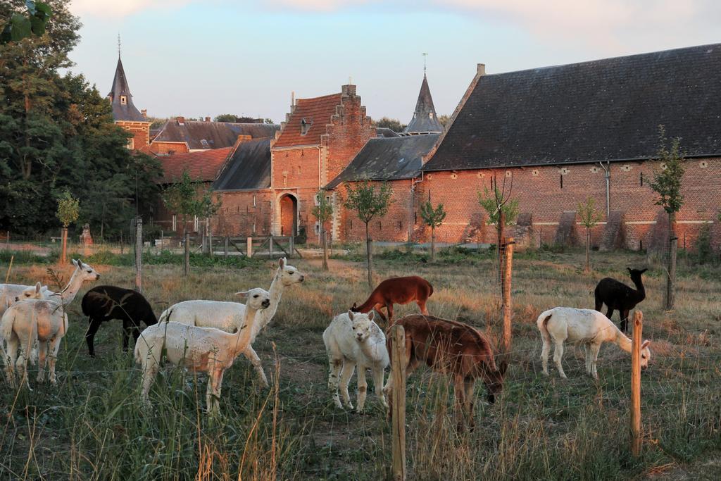 Апартаменты Kasteel Nieuwenhoven Синт-Трёйден Экстерьер фото